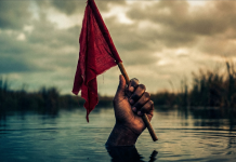 Financial Red Flags in Dating: What Money Habits Predict a Bad Relationship